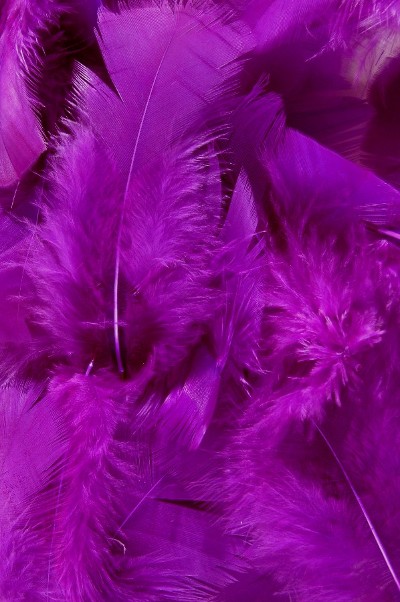 Dinde - 6-8 cm - violet